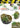 AK Interactive Diorama - Wargame Vegetation - Fusion Scale Hobbies