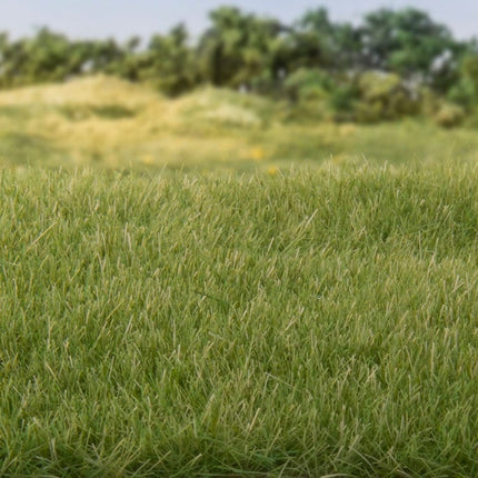 Collection image for: Woodland Scenics Static Grass