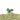 Rock Island Hobby RIH024101 5 Deciduous Trees with bendable branches