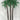 JTT 92045 O scale Palm Trees - 200 mm