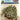 JTT 92077 HO scale Snow-Covered Evergreen Trees - 3"-5" - 10-pack