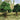 JTT 92132 Deciduous Trees - Green - 4"-5" - 4-pack