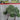 JTT 92138 O scale Lemon Trees - 4-5"