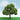 JTT 92304 HO scale Elder Trees - 3"-3.5" - 2-pack