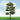 JTT 92306 HO scale Downy Birch Trees - 3.5"-4" - 2-pack