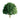 JTT 94261 Oak Trees - 1.5" - 4-pack