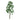 JTT 94415 Birch Trees - 1.5" - 6-pack