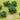 JTT 95062 Foliage Clumps & Undergrowth - 1/2"-1" - 55-pack