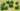 JTT 95062 Foliage Clumps & Undergrowth - 1/2"-1" - 55-pack