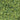 JTT 95251 Scenic Turf - Blended Green