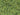 JTT 95251 Scenic Turf - Blended Green