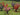 JTT 95546 O scale Flower Bushes - 1"-1.5" - 32-pack