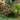 JTT 95632 Flowering Trees - Red, Pink, Yellow - 1.5"-2"