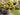 JTT 95643 Flower Bushes - White, Purple, Blue