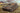1/35 iLoveKit German Rhm - Borig Waffentrager Tank Destroyer - Fusion Scale Hobbies