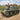 1/35 Kangaroo Armored Personnel Carrier - Fusion Scale Hobbies