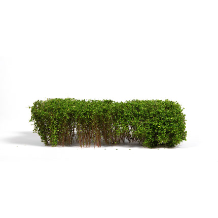 AK Interactive Spring Green Shrubberies 1/35 / 75mm / 90mm