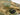 Tamiya 35381 1/35 GERMAN PANZER IV/70(A)
