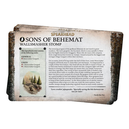 Warhammer Age Of Sigmar Faction Pack Sons Of Behemat