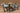 Tamiya 1/35 German Field Kitchen Kit - 35103
