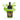 AK Interactive The Inks Lime Green Acrylic Ink 30ml – AK-16049 | Fusion Scale Hobbies