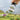 WWS Pro Grass Micro Applicator - WSPG003