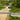 Dwarvin HO Dummy Railroad Crossing – No Signage – DWV99048 product image