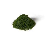 Summer Green Weeds - Summer Green Weeds are pre-blended and easy to apply on your miniature base or gaming board