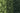 Woodland Scenics Tree Kit 3/4''-3'' Green Deciduous TR1101 | Fusion Scale Hobbies