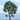 Woodland Scenics 4 1/2" Prem Maple 1/Pk TR1610| Fusion Scale Hobbies