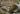 Border Model 1/35 Border Model PzKpfw Iv Ausf J Early / MidRail Way Flatbed Ommr