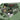 Tamiya 1/35 British Tank Destroyer M10 Iic - 32582
