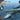 Clear Prop 1/144 Clear Prop OV-1 A/JOV-1A Mohawk