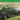 Dragon 1/35 Dragon Sd.Kfz.10 Ausf.A w/5cm PaK 38 Plastic Model Kit