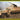 Dragon 1/35 Dragon Sd.Kfz.251/21 Ausf.D DRILLING Halftrack