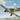 Dora Wings 1/48 Dora Wings Percival Proctor Mk III British Radio Trainer Aircraft - Fusion Scale Hobbies