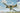 Dora Wings 1/48 Dora Wings Percival Proctor Mk III British Radio Trainer Aircraft - Fusion Scale Hobbies