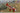 Dora Wings 1/72 Dora Wings Percival Vega Gull - Fusion Scale Hobbies