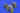 Eduard 1/32 Eduard F - 4C/D/E/F/G Wheels for Tamiya (Resin) - Fusion Scale Hobbies