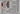 Eduard 1/32 Eduard Sopwith F1 Camel for Wingnut Wings (Pre - Painted) - Fusion Scale Hobbies
