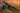 1/32 IBG PZL P.11c Polish Fighter Rare Birds