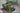 1/72 IBG Chevrolet C.15A No.11 -Cab General Service ( 2C1 all steel body)