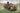 1/72 IBG V3000S/SSM Maultier German Halftrack