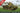 1/72 IBG Type 95 Ha-Go Japanese tank short wave R