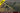 1/72 IBG Model PZL P.11c Polish Fighter - Rare Birds