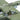 Tamiya 1/48 Lockheed P-38 F/G Lightning - 61120