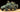 Tamiya 1/35 M3A1 Scout Car - 35363