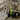 Mac Rail HO Modern EOT Device v2.0 (3 Pack - Light Green) Universal - Fusion Scale Hobbies