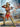 Master Box LTD 1/24 Box At the Edge of the Universe Dimachaerus Champion Parselen Female Galaxy Gladiator