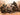Master Box LTD 1/35 Box Under Fire Modern US Infantry (x4)
